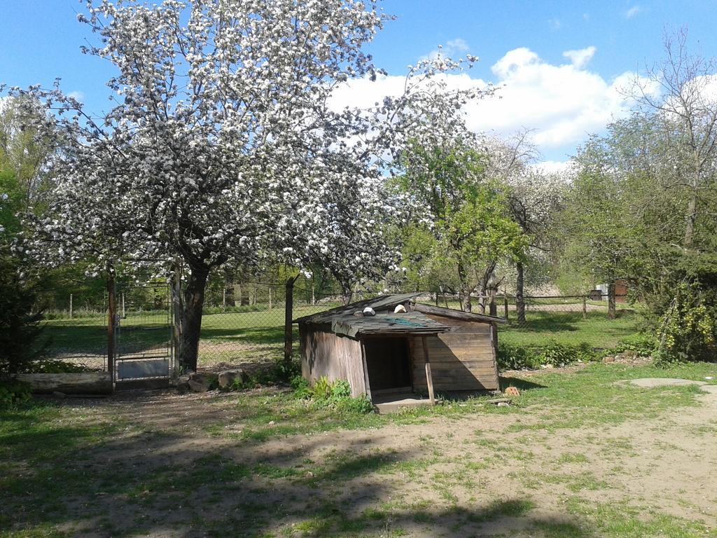Chata Zahrada Madeta Veselí nad Lužnicí 外观 照片