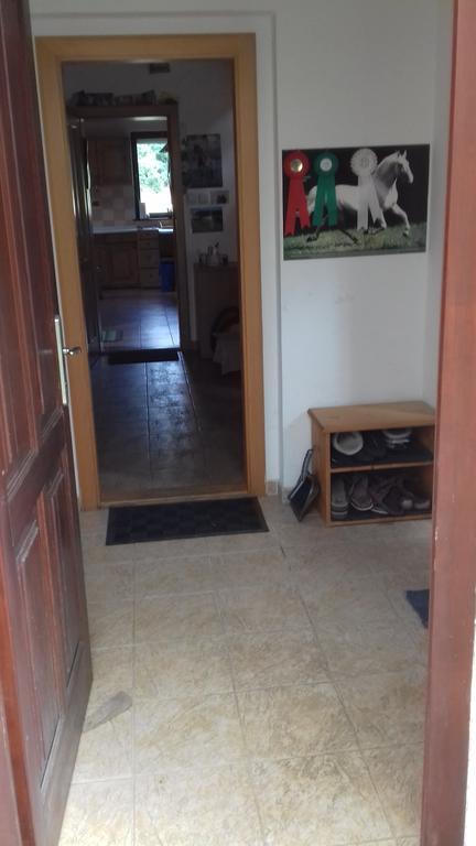Chata Zahrada Madeta Veselí nad Lužnicí 外观 照片