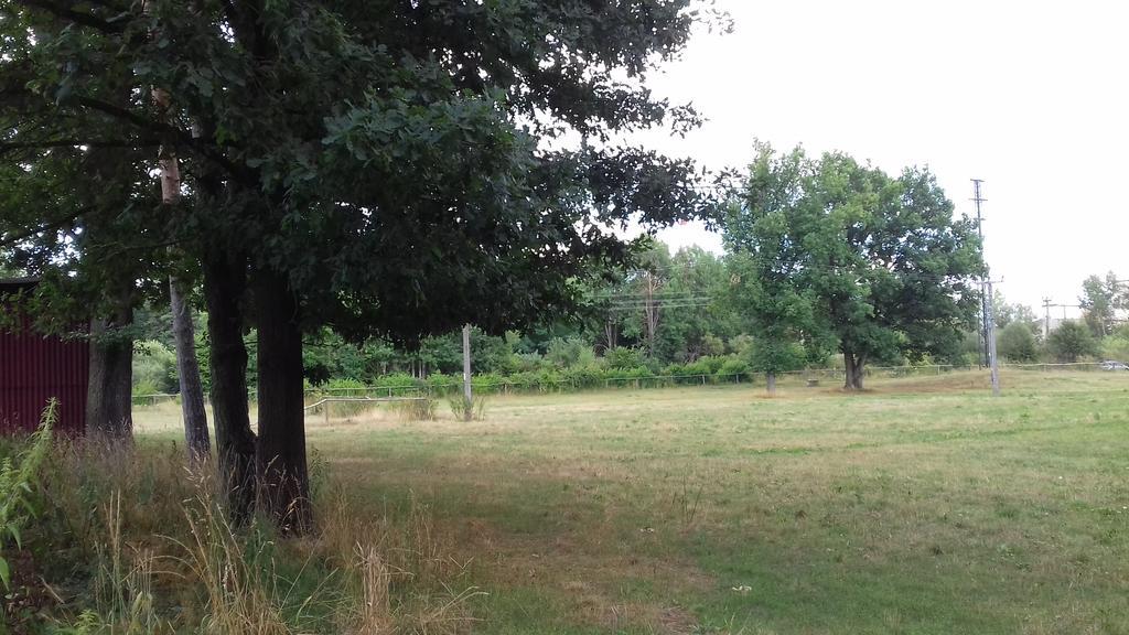 Chata Zahrada Madeta Veselí nad Lužnicí 外观 照片